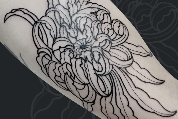 Untitled-1_04 copy 6