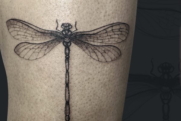 Tattoo_instagram_3X_02