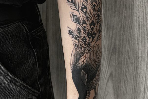 Nfuria_blackwork_Pavo-real-en-brazo